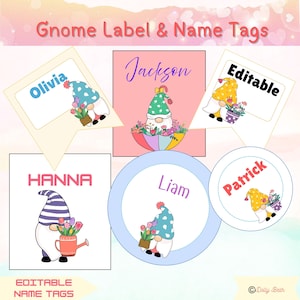 Summer Name Tags Editable desk Plates , Cubby Name Tags , Rainbow Name Tags , Digital Download , Gnome name tags