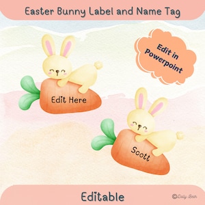 Easter Bunny Name Tags Editable desk Plates , Cubby Name Tags , Easter Name Tags , Digital Download