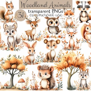 Set di clipart ad acquerello di animali del bosco, animali, floreali, foresta, animali carini, clipart per bambini, volpe, lupo, orso, lepre, cervo, tasso, gufo,