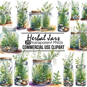 20 Jarras de Ervas Cliparts em Aquarela, ervas verdes, jarra de vidro, ervas em jarras, clipart verde, clipart de ervas, folhas verdes, fundo transparente