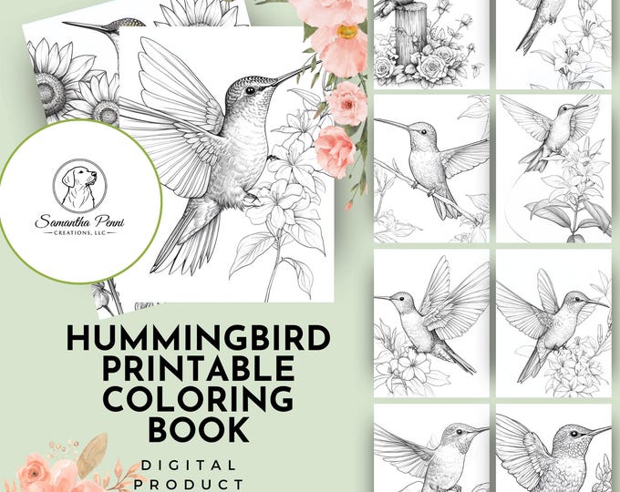 Digital hummingbird coloring book 24 pages for print and download only