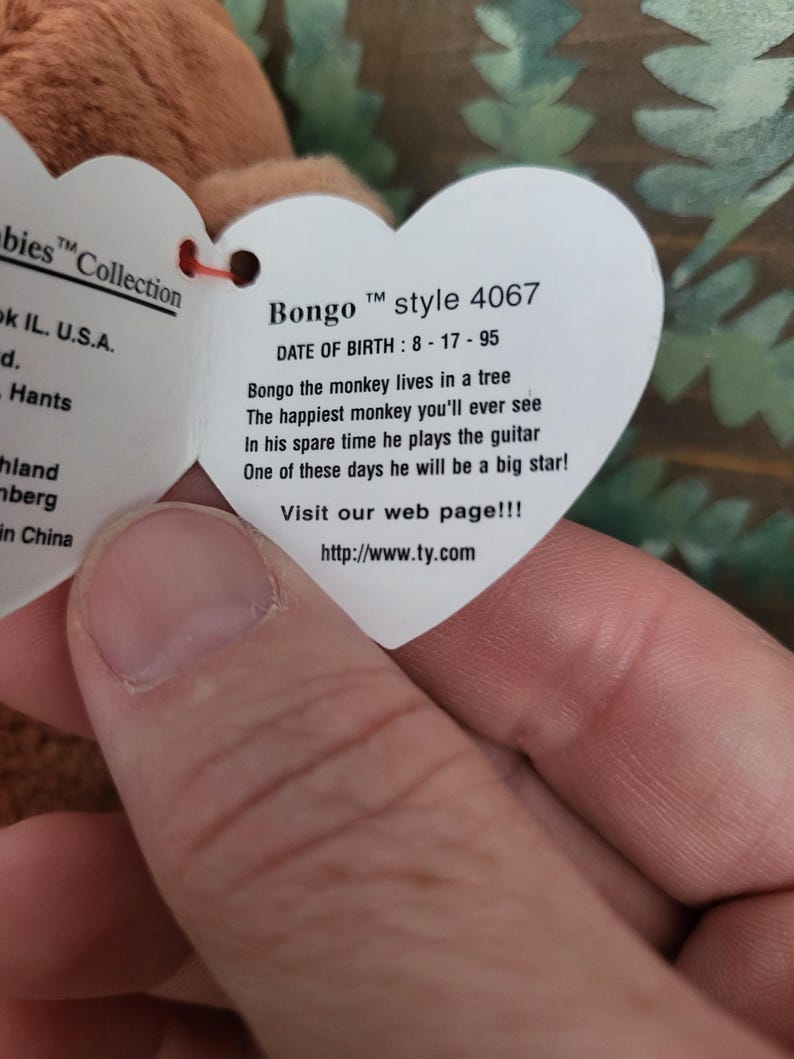 Tag Error Bongo Beanie Baby Rare 1995 - Etsy