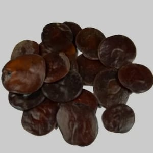 109 fertile fresh seeds jopo, Y O P O, Anadenanthera peregr, guayo Colorado, Niopo del orinico