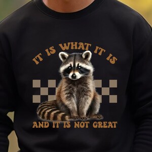 It Is What It Is And It Is Not Great Sweatshirt, Vintage Sweatshirt, Raccoon Sweatshirt, Mental Health Sweatshirt, Funny Sweatshirt Women