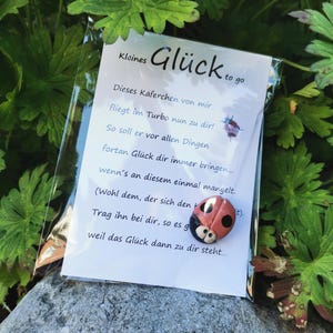 Glücksbringer Marienkäfer aus Keramik - Glück to go! Gluckskäfer mit Karte