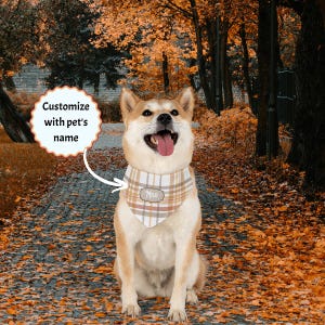 Gepersonaliseerde clip-on bandana kraag voor honden of katten herfst hond bandana kat sjaal huisdier kostuum voor Halloween Thanksgiving huisdier bandana