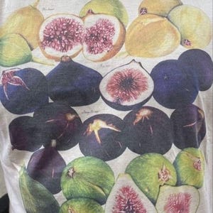 Vintage Fig Graphic Unisex T-shirt Retro Fruit Tee Fig Lover Gift Botanical Shirt Plant Lover Apparel