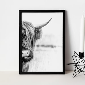 Highland Cow Print,Cow Wall Art,  Rustic Home Decor, Cattle Photography, Animal Black White Poster, Farm House Wall Decor, Canvas