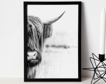 Highland Cow Print,Cow Wall Art,  Rustic Home Decor, Cattle Photography, Animal Black White Poster, Farm House Wall Decor, Canvas