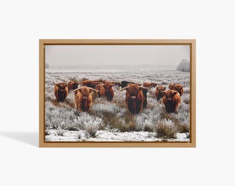 Longhorn Kuh,Highland Kuh Druck, Kuh Wandbild, Highland Kuh Bild, Highland Kuh Poster, Highland Kuh Poster