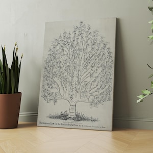 May include: A framed canvas print featuring a detailed black and white illustration of a tree, labeled "The Common Law - In the Similitude of a Tree." The artwork is leaning against a wall, with a potted plant to the left.