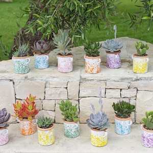 Vaso da 10cm + pianta | Bomboniera con pianta grassa in vaso di ceramica fatto a mano- Personalizzabile - Idea originale Made in Italy