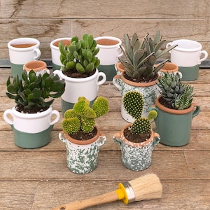 Vaso da 12 cm + pianta | Bomboniera con pianta grassa in vaso di ceramica fatto a mano- Personalizzabile - Idea originale Made in Italy
