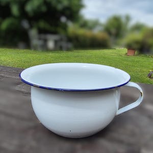 May include: White enamel chamber pot with a blue rim and a handle. The pot is on a weathered wooden surface. The background is blurred, showing a green lawn and trees.