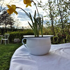May include: White enamel planter with a black rim, featuring a bouquet of yellow daffodils.