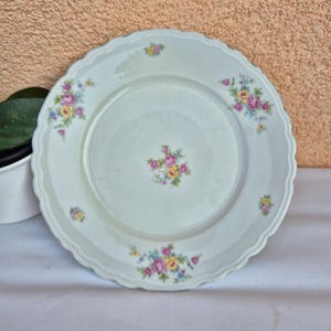 Beautiful Vintage Plates / Vintage Floral Plate – DÜRKEN /  Floral Motif