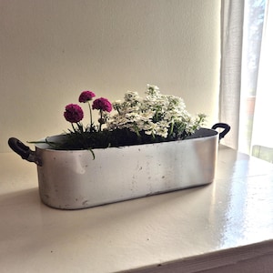 Puede incluir: Una maceta de metal ovalada plateada con dos asas negras. La maceta está llena de flores blancas y rosas.