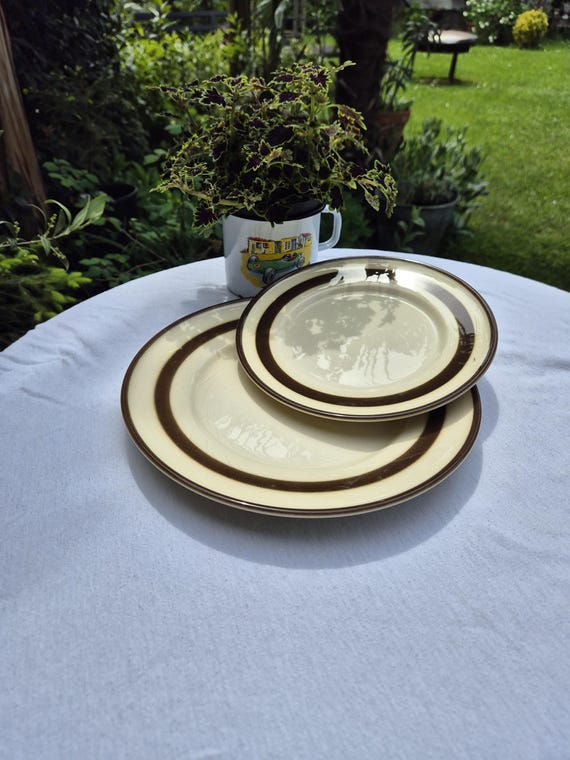1 of 3 Vintage Pagnossin Treviso Plates / Italy - Etsy UK 1 of 3 Vintage Pagnossin Treviso Plates / Italy - Etsy UK