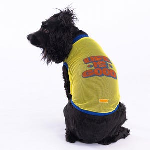 Life Is Good Printed Yellow Mesh Dog T Shirt Breathable Summer Pet Clothing Lightweight Cute Puppy Outfit Comfortable Dog Apparel