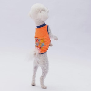 ネオンオレンジの「ハッピーデイ」犬用Tシャツ：夏の子犬用服