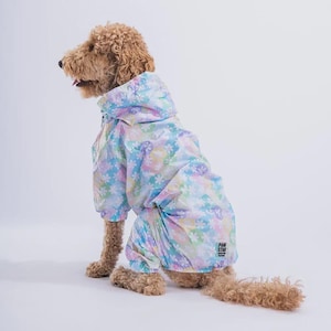 May include: A dog in a pastel floral print dog raincoat with a hood and zip closure. The cuffs are elasticated. The Paw Star logo is on the leg. The dog is golden and sits against a white backdrop. The raincoat is designed for dogs.