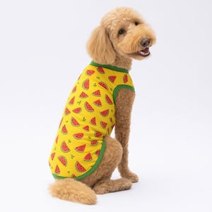 スイカ柄ドッグシャツ：夏のフルーツプリント、大型犬用通気性Tシャツ