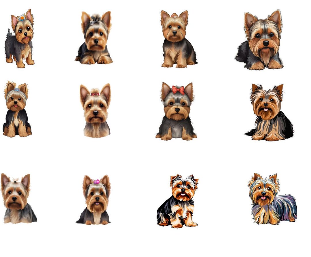 Yorki Sticker Transparent 12 Yorkie Printable Digital Stickers - Etsy