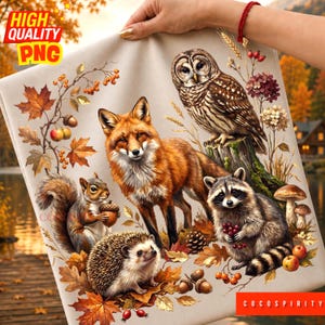 Woodland Animals PNG, Fall Forest Creatures Graohic, Autumn Fox Owl Raccoon Squirrel Hedgehog DTF Sublimation Design, Digital Download