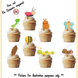 May include: Set of 8 pre-cut cupcake toppers featuring various colourful cartoon bugs, including a ladybug, a bee, a caterpillar, a grasshopper, a butterfly, a beetle, a cockroach, and an ant.  No scissors required.  Picture for illustration purposes only.