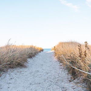 Sandy Beach Walk and Nature Landscape Home and Wall Decor