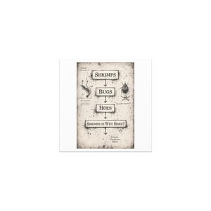 May include: A vintage-style print with a diagram showing the progression from "Shrimps" to "Bugs" to "Hoes," ending with the question "Shrimps Is Wet Hoes?" The artwork features a faded, aged paper effect with ink splatters and scientific illustrations.