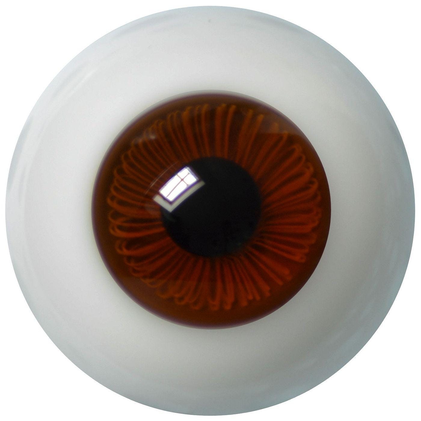 Yeux De Poupée Anciens En Verre Marron (25.2 Mm) - Fabrication Française XXe
