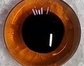 Yeux de verre, yeux d'ours en peluche (brun clair), yeux d'ours