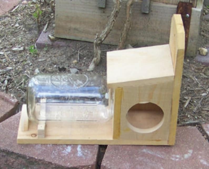 Cedar Squirrel Feeder Etsy