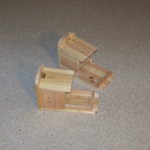 Two Mini Jar Less Cedar Squirrel or Chipmunk Feeder