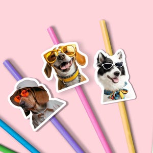 Op de afbeelding: Drie hondenstickers met zonnebrillen en rietjes tegen een roze achtergrond. Eén hond is een beagle met een oranje zonnebril en een hoed. Een andere is een beagle met een gele zonnebril. De derde is een zwart-witte hond met een witte zonnebril.