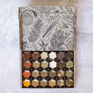 Gneiss Spice Masala Dabba Kit | 24 Organic Indian Seasonings | Small Magnetic Glass Jars | Unique Gift for Foodie