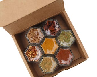 Gneiss Spice | SPICY KIT | 7 Organic Seasonings in Magnetic Jars for Fridge  | Couples, Newlyweds, Wedding + Anniversary Gift Idea