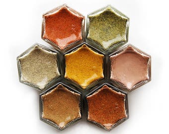 Gneiss Spice | POPCORN KIT | 7 Organic Seasonings in Magnetic Spice Jars | Healthy Snack | Family Gift Idea | DIY Popcorn Bar Movie Night