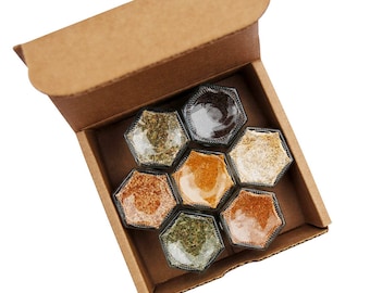 GRILLING SPICES | 7 Organic Seasonings, BBQ Rubs in Magnetic Jars | Unique Gift Idea for Outdoor Cooking | Gneiss Spice