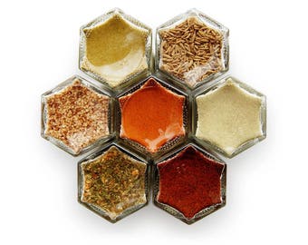 Gneiss Spice | MEXICAN KIT | 7 Organic Seasonings in Magnetic Jars | Fiesta Time | Hostess Thank You Gift