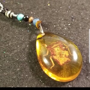 May include: A teardrop-shaped pendant with a clear yellow resin that encases a small brown insect. The pendant is attached to a beaded chain with black, white, and blue beads.
