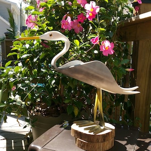 Seagull Grey PVC Beach Bird