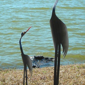 Blue Heron Mother and Baby - PVC 22" Tall