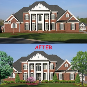 Front Yard Landscaping