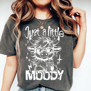 Maglietta Comfort Colors Moody Highland Cow: maglietta western sarcastica