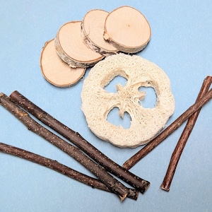 Può includere: Una collezione di materiali naturali per l'artigianato che include quattro fette di legno circolari di colore chiaro con bordi in corteccia, una fetta di luffa fibrosa rotonda e cinque sottili ramoscelli marrone scuro.