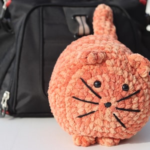 Große Kastenkatze