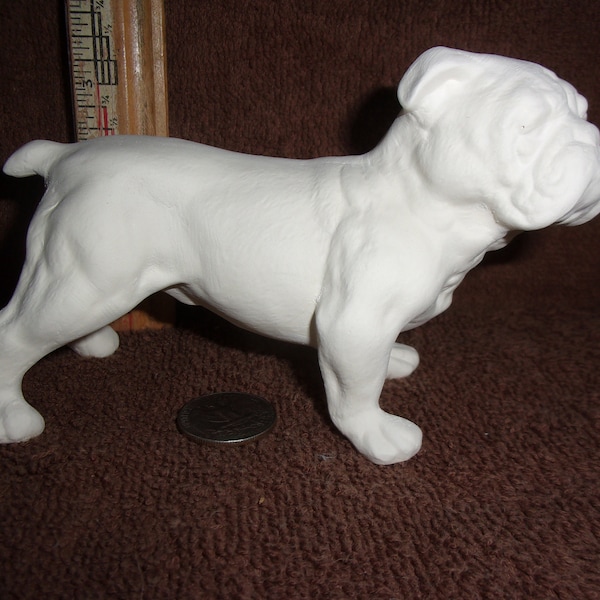 Standing Bulldog in Ceramic Bisque Ready to Be Painted