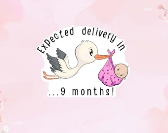 Personalized Stork and Baby Sticker - Perfect for moms-to-be, OBGYNs, midwives, maternity care. Customizable- boy, girl, & delivery date!